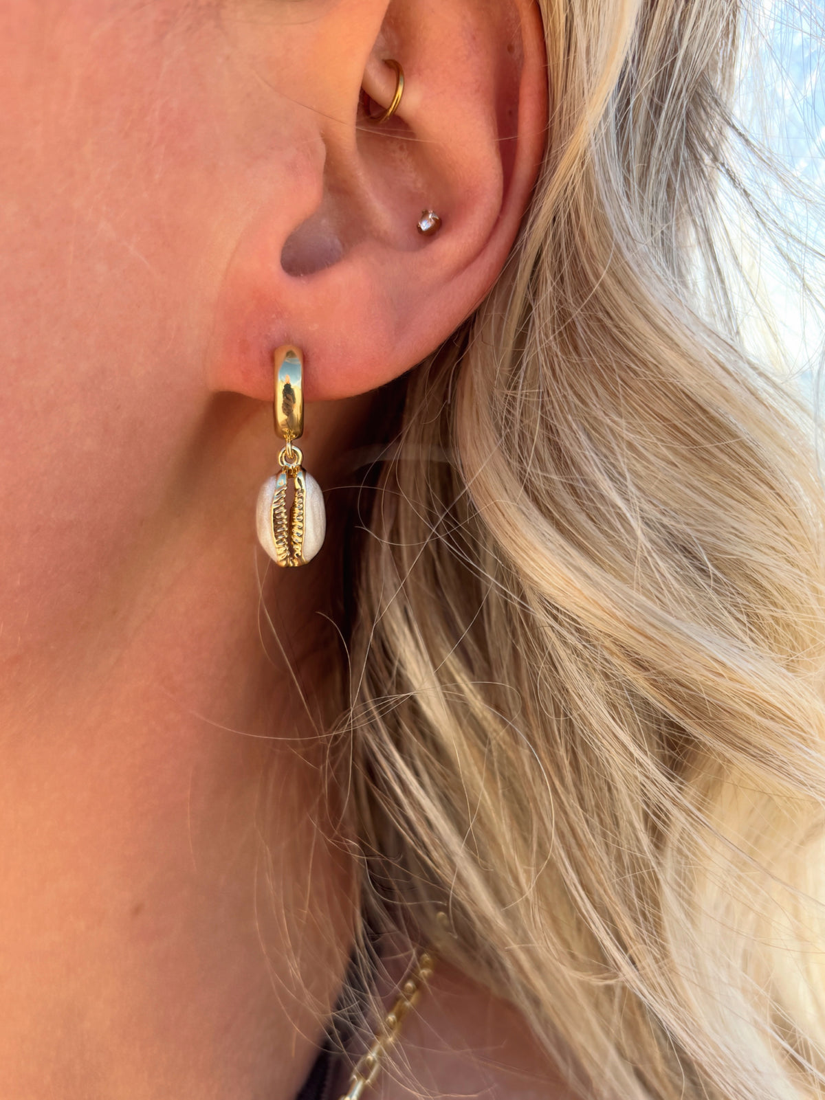 Cowrie Shell Earrings
