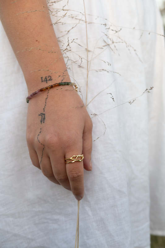Arlo Ring