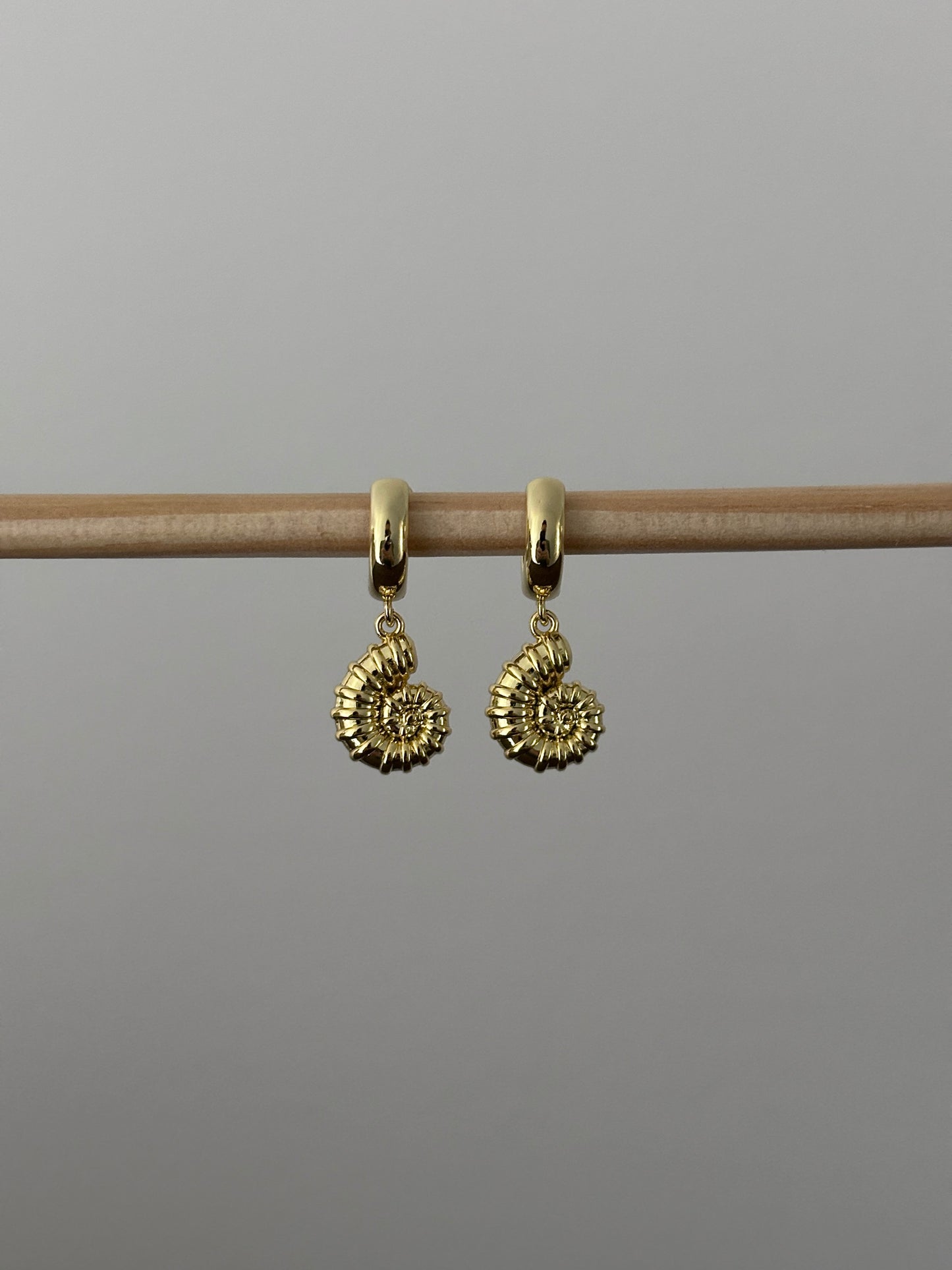 Ammonite Huggies