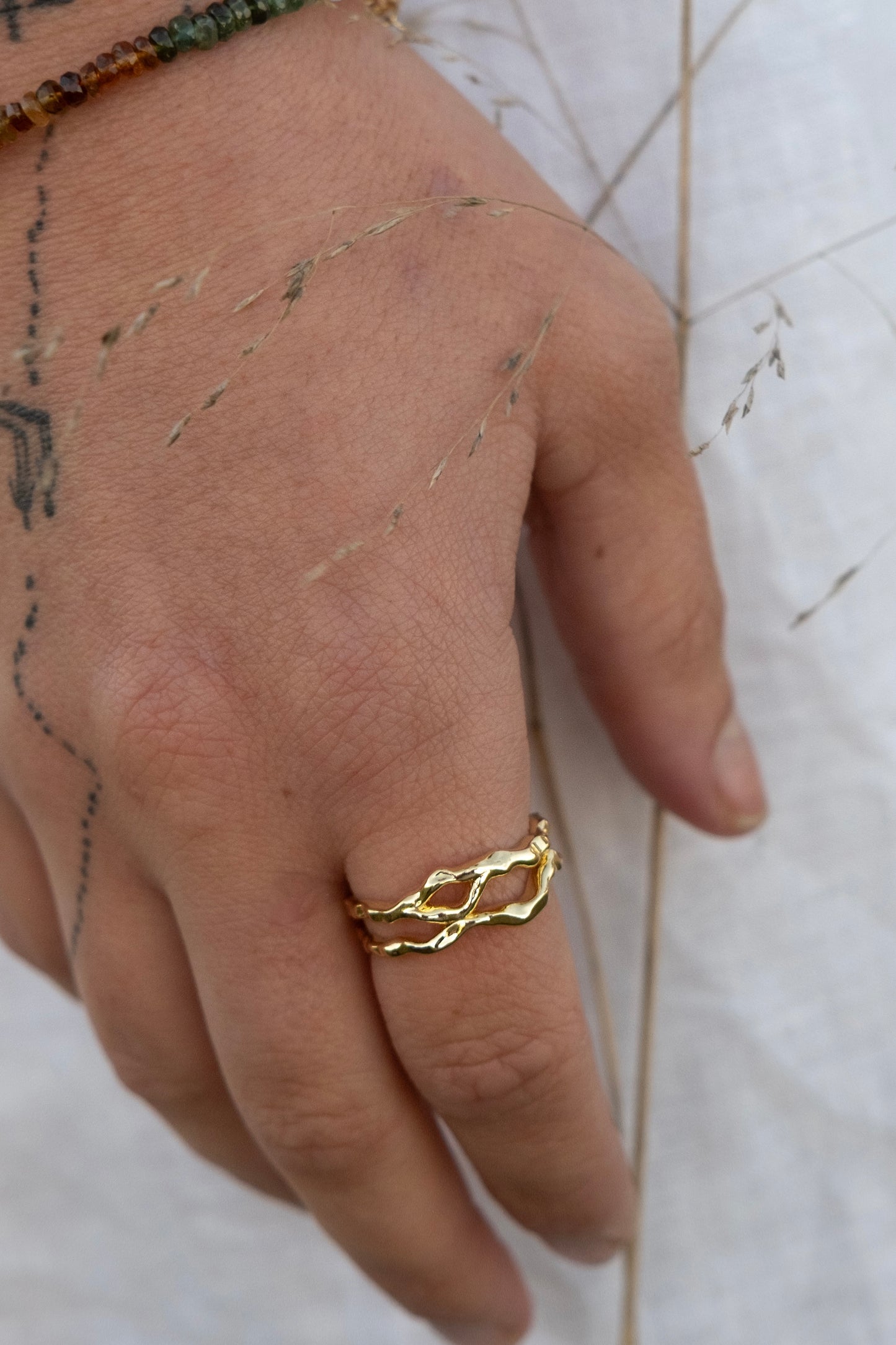 Arlo Ring