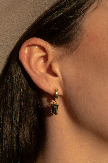 Brumby Earrings